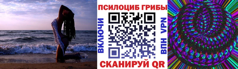 Псилоцибиновые грибы GOLDEN TEACHER Щучье
